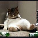 삼농실버마을 이미지