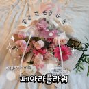 자이언트 플라워(수시접수) | 강남꽃집 추천 페아라플라워, 강남역꽃집·역삼역꽃집 자이언트 꽃다발 예약 픽업 후기