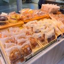 제주도 차가지고 배타고 가는법(제주-목포 퀸제누비아2호 후기)
