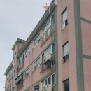 백옥대로4 이미지