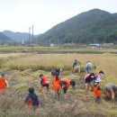 두레에너지 이미지