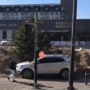 안정식육식당 이미지