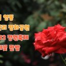 영동 매천리 이암사와 마애불 이미지