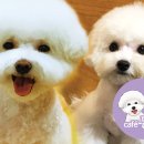 카페몽몽 이미지