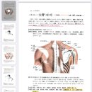 소갈족냉 어떻게 대응할것인가? 이미지