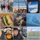 2025년 / 1월 / 필리핀 / 보홀 / 놀다보홀 / 투어레코드 / 헤난 알로나비치 / 팡라오 리젠트