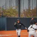 메디아트 이미지