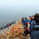 서산 태양광발전소 이미지