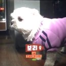 군포여성전용한증막 이미지