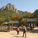 청송 Daum카페