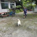 강촌이모네 이미지