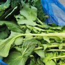 삼동초등학교 이미지