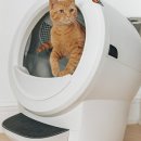 퍼펙트바이트 이미지