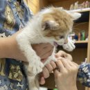 로뎀동물병원 이미지