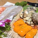 다미포차 이미지