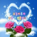 선물부동산공인중개사사무소 이미지