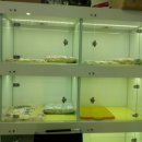 동물병원루니 이미지