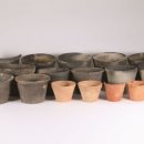 수원-1981 이미지