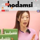 호담시