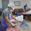 신안홍어 이미지