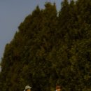 윤슬 | 서울 야외 웨딩스냅 노을공원 윤슬포토 촬영후기