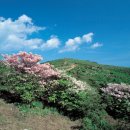 ﻿[新택리지]지리산, 섬진강이 낳은 자연환경 ‘삼대삼미(三大三美)의 고장, 구례’ 이미지