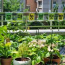 고촌복지회관 이미지