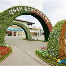 보령종합경기장 이미지