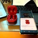 라이브레드 이미지