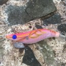 송도해수피아 이미지