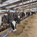 친환경부여농장 이미지