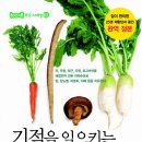 믿음야채 - 안양시 동안구 경수대로 585-8 | 믿음야채