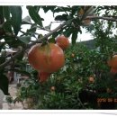 지전보건진료소 이미지