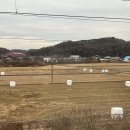 금성랜드사우나 | Not 노잼도시 BUT chilling city