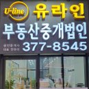 부동산중개법인금이(주) 이미지