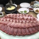 권가네 횟집