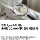 지움 청주점