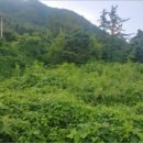 야미리보건진료소 이미지