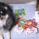 포썸(Pawsome) 이미지