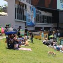 그린도그 이미지