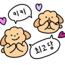제주돌집탱자싸롱