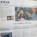 김용범농장 네이버블로그