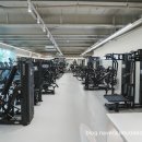 데일리 핏 이미지