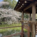 대흘보건진료소 이미지