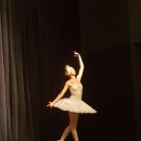 모스크바 국립발레단 내한공연-백조의 호수 이미지