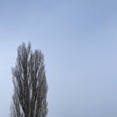 여주-0216 이미지