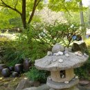 숲속의다향 이미지