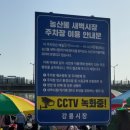 남대천새벽시장 | 강릉농산물 새벽시장 남대천에서 열리는 저렴한 야채 채소 두부 제철음식 두릅현지 가격 안내