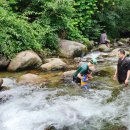 다리안캠핑장 이미지