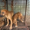 남은농장 이미지